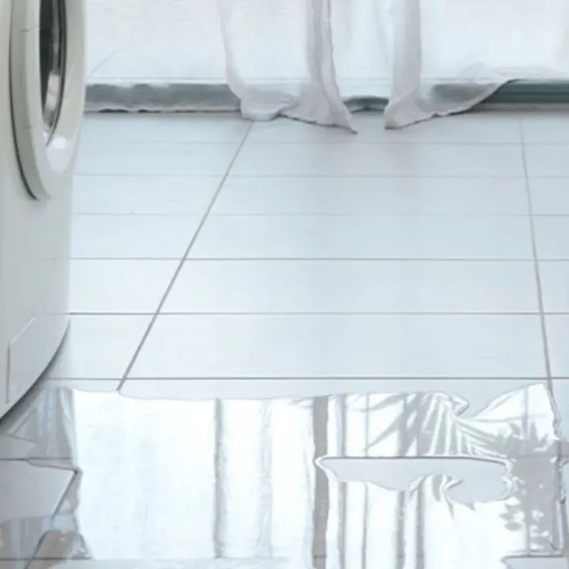 Appliance Leak Cleanup in Winton, NC