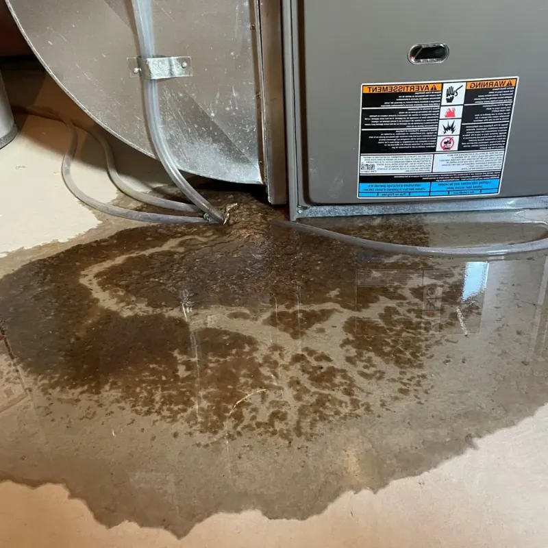 Pipe Burst and Leak Restoration in Winton, NC
