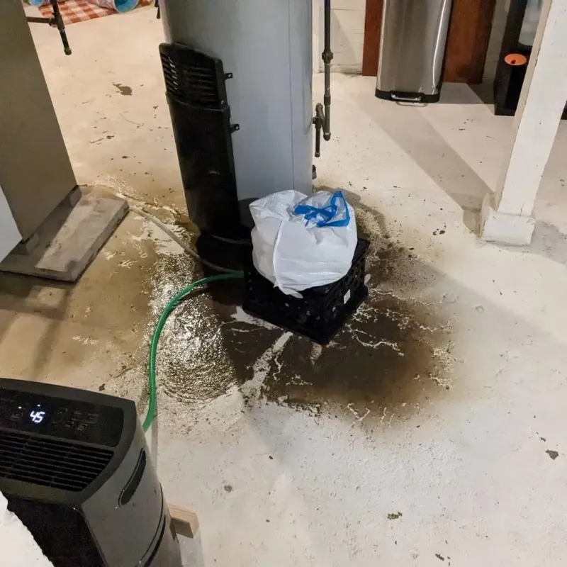 Sewage Backup Cleanup Service in Winton, NC